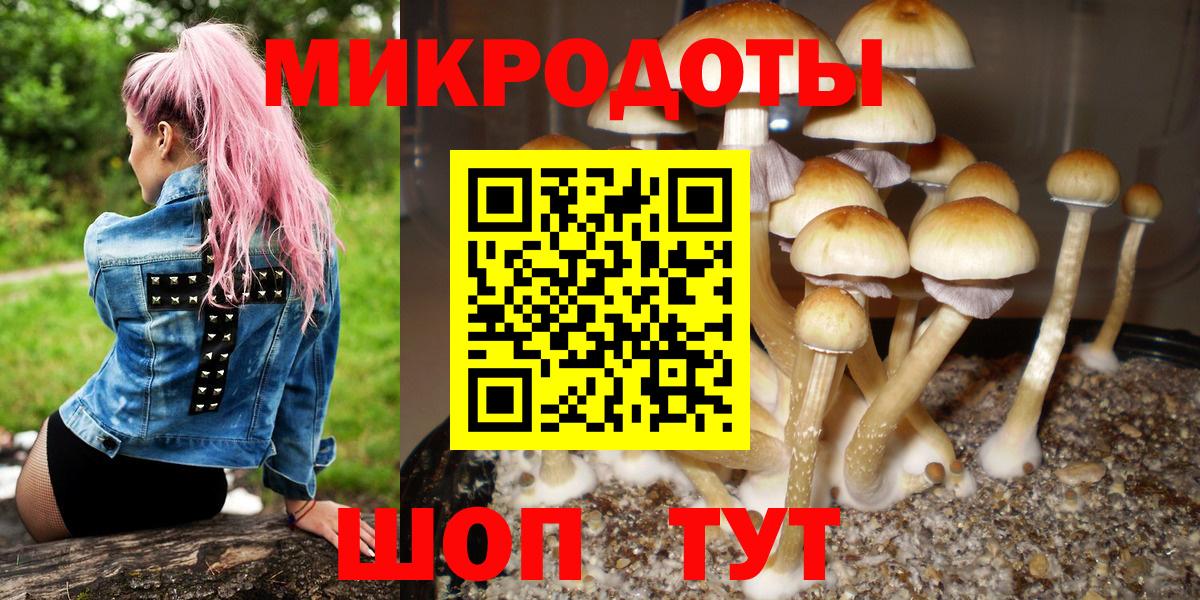 Рузаевка  Псилоцибиновые грибы Magic Shrooms  Вход с VPN 